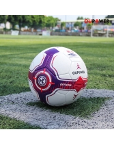 OUPOWER/偶能 FIFA标准电视之星同厂高端比赛用球热黏合5号足球